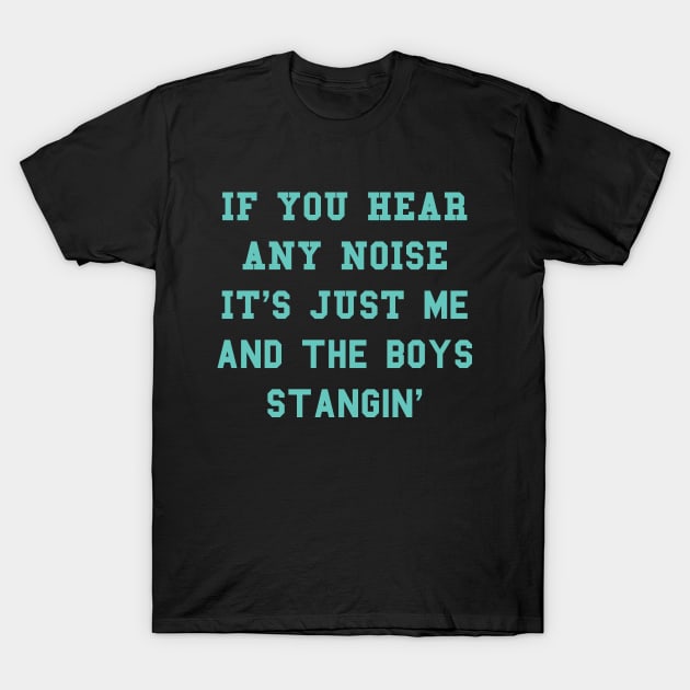 If You Hear Any Noise It's Just Me And The Boys Stangin' T-Shirt by Every Hornets Boxscore